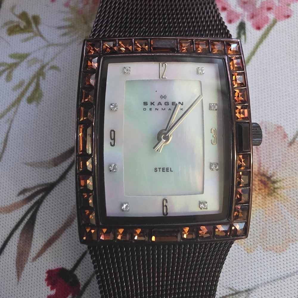 Skagen N527SMMBRD Brown Steel Mesh Mother of Pearl Crystal Watch
